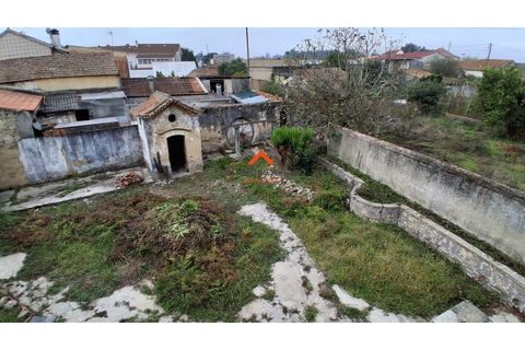 Villa i Aveiro, Aveiro, Aveiro - € 390.000 | Ref: 6600 - foto 30