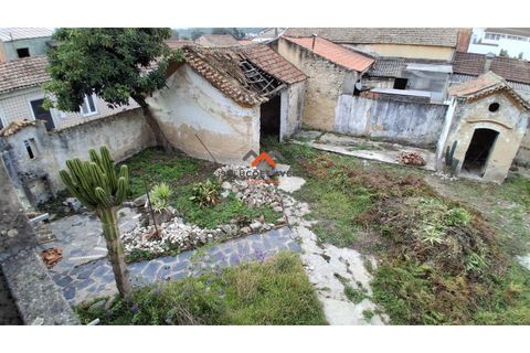 Villa i Aveiro, Aveiro, Aveiro - € 390.000 | Ref: 6600 - foto 31