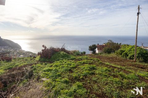 Helårsgrund i Calheta, Madeira, Calheta - € 215.000 | Ref: 071787 - foto 4