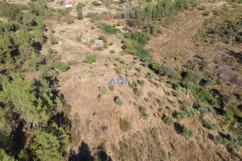Helårsgrund i Castelo Branco, Castelo Branco, Castelo Branco - € 27.000 | Ref: 125083 - foto 1