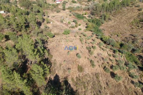Helårsgrund i Castelo Branco, Castelo Branco, Castelo Branco - € 27.000 | Ref: 125083 - foto 2