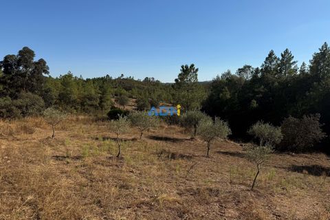 Helårsgrund i Castelo Branco, Castelo Branco, Castelo Branco - € 27.000 | Ref: 125083 - foto 3