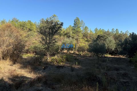 Helårsgrund i Castelo Branco, Castelo Branco, Castelo Branco - € 27.000 | Ref: 125083 - foto 5