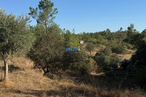 Helårsgrund i Castelo Branco, Castelo Branco, Castelo Branco - € 27.000 | Ref: 125083 - foto 8