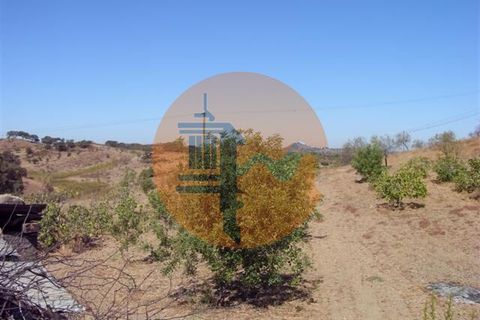 Helårsgrund i Castro Marim, Faro, Castro Marim - € 20.000 | Ref: SU-CS-TR-1681 - foto 3
