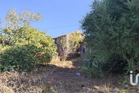 Byhus i Ansiao, Leiria, Ansiao - € 99.000 | Ref: 721701 - foto 8