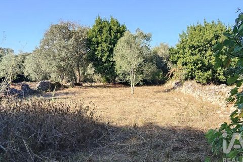 Byhus i Ansiao, Leiria, Ansiao - € 99.000 | Ref: 721701 - foto 11