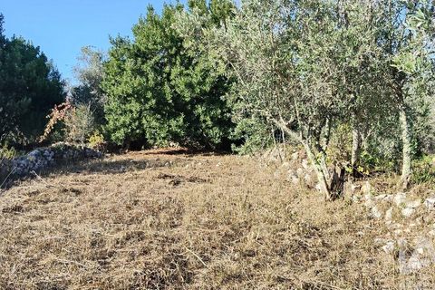 Byhus i Ansiao, Leiria, Ansiao - € 99.000 | Ref: 721701 - foto 12