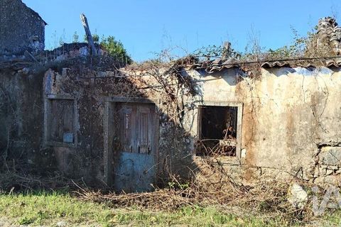 Byhus i Ansiao, Leiria, Ansiao - € 99.000 | Ref: 721701 - foto 20