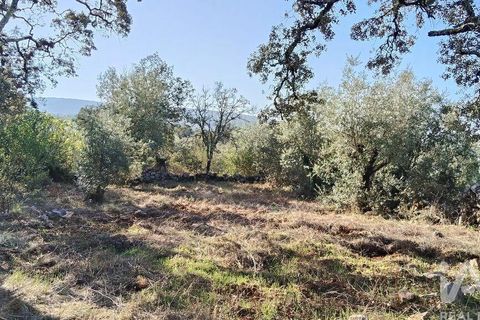 Byhus i Ansiao, Leiria, Ansiao - € 99.000 | Ref: 721701 - foto 23