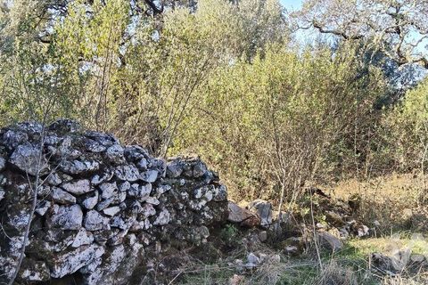 Byhus i Ansiao, Leiria, Ansiao - € 99.000 | Ref: 721701 - foto 24