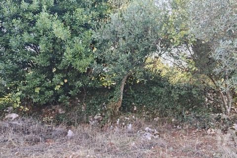Byhus i Ansiao, Leiria, Ansiao - € 99.000 | Ref: 721701 - foto 25