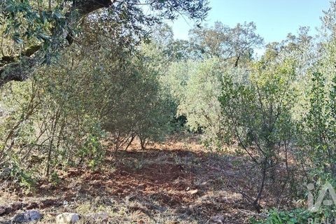 Byhus i Ansiao, Leiria, Ansiao - € 99.000 | Ref: 721701 - foto 26