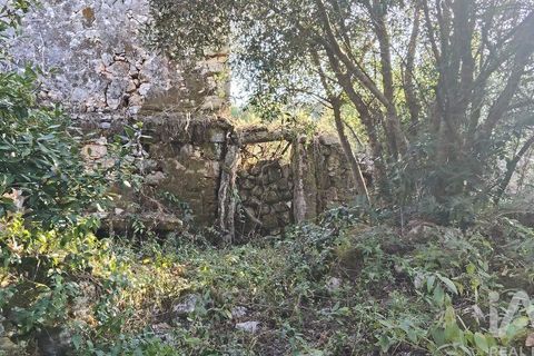 Byhus i Ansiao, Leiria, Ansiao - € 99.000 | Ref: 721701 - foto 28