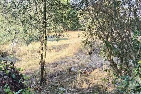 Byhus i Ansiao, Leiria, Ansiao - € 99.000 | Ref: 721701 - foto 30