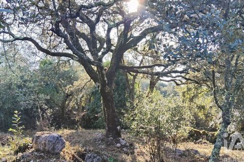 Byhus i Ansiao, Leiria, Ansiao - € 99.000 | Ref: 721701 - foto 32