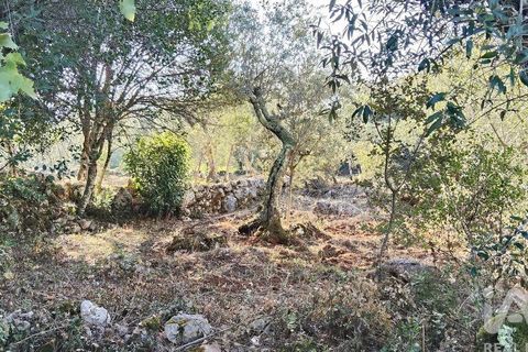 Byhus i Ansiao, Leiria, Ansiao - € 99.000 | Ref: 721701 - foto 34