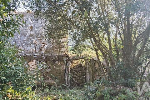 Byhus i Ansiao, Leiria, Ansiao - € 99.000 | Ref: 721701 - foto 35