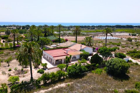 Finca i La Marina, Alicante, La Marina - € 539.000 | Ref: MCO-15167 - foto 1