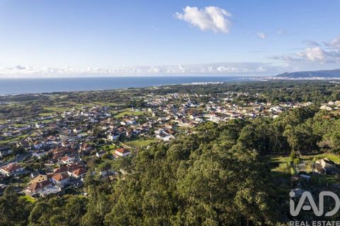 Byhus i Viana do Castelo, Viana do Castelo, Viana do Castelo - € 460.000 | Ref: 724131 - foto 35