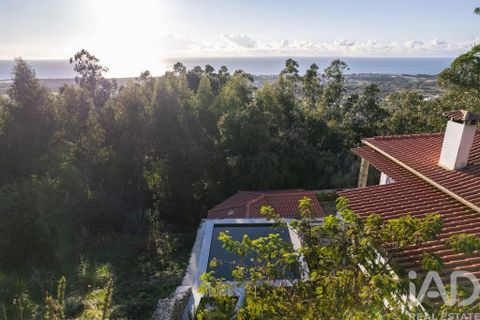 Byhus i Viana do Castelo, Viana do Castelo, Viana do Castelo - € 460.000 | Ref: 724131 - foto 39