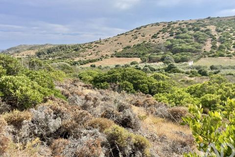 Helårsgrund i Sagres, Faro, Sagres - € 90.000 | Ref: 150912 - foto 11