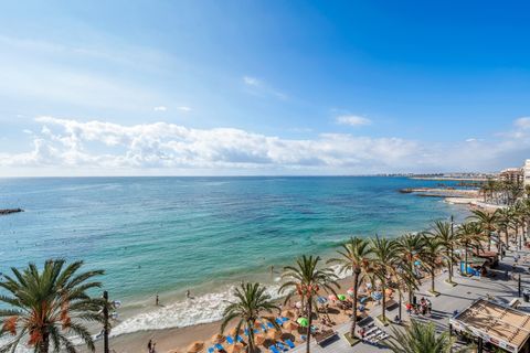 Lejlighed i Torrevieja, Alicante, Torrevieja - € 475.000 | Ref: 745917 - foto 26