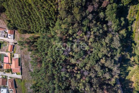 Helårsgrund i Sobreira, Porto, Sobreira - € 45.000 | Ref: ZMPT580648 - foto 9
