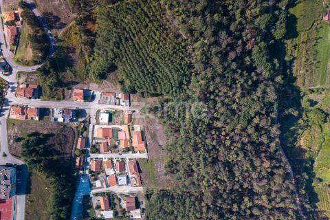 Helårsgrund i Sobreira, Porto, Sobreira - € 45.000 | Ref: ZMPT580648 - foto 10