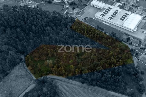 Helårsgrund i Santo Tirso, Porto, Santo Tirso - € 400.000 | Ref: ZMPT581487 - foto 4