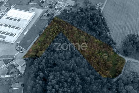 Helårsgrund i Santo Tirso, Porto, Santo Tirso - € 400.000 | Ref: ZMPT581487 - foto 5