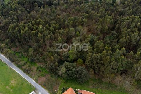 Helårsgrund i Santo Tirso, Porto, Santo Tirso - € 400.000 | Ref: ZMPT581487 - foto 8