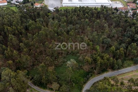 Helårsgrund i Santo Tirso, Porto, Santo Tirso - € 400.000 | Ref: ZMPT581487 - foto 9