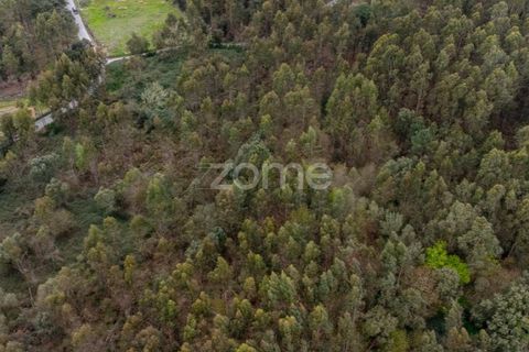 Helårsgrund i Santo Tirso, Porto, Santo Tirso - € 400.000 | Ref: ZMPT581487 - foto 10