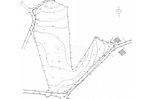 Helårsgrund i Santo Tirso, Porto, Santo Tirso - € 400.000 | Ref: ZMPT581487 - foto 11
