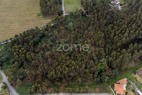 Helårsgrund i Santo Tirso, Porto, Santo Tirso - € 400.000 | Ref: ZMPT581487 - foto 6