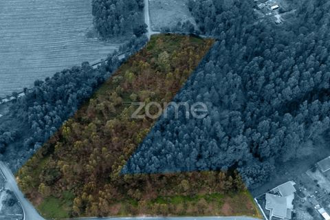 Helårsgrund i Santo Tirso, Porto, Santo Tirso - € 400.000 | Ref: ZMPT581487 - foto 2