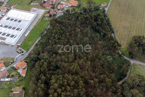 Helårsgrund i Santo Tirso, Porto, Santo Tirso - € 400.000 | Ref: ZMPT581487 - foto 3