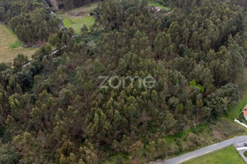 Grond in Santo Tirso, Porto, Santo Tirso - € 400.000 | Ref: ZMPT581487 - foto 10