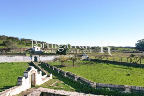 Farm i Crato, Portalegre, Crato - € 990.000 | Ref: RG2037 - foto 4