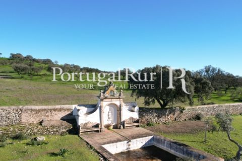 Farm i Crato, Portalegre, Crato - € 990.000 | Ref: RG2037 - foto 7