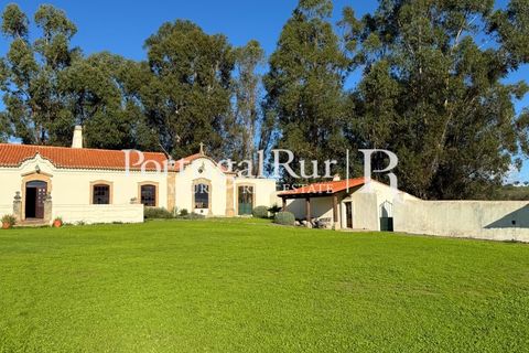 Farm i Crato, Portalegre, Crato - € 990.000 | Ref: RG2037 - foto 24