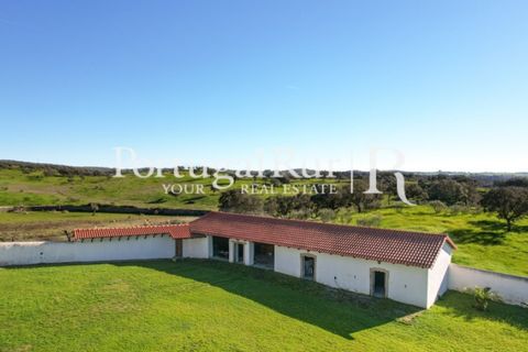 Farm i Crato, Portalegre, Crato - € 990.000 | Ref: RG2037 - foto 25