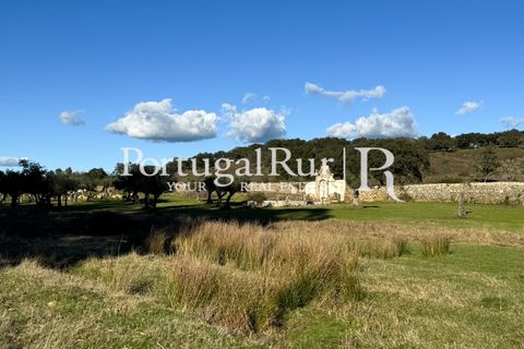 Farm i Crato, Portalegre, Crato - € 990.000 | Ref: RG2037 - foto 27