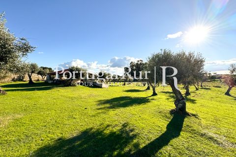 Farm i Crato, Portalegre, Crato - € 990.000 | Ref: RG2037 - foto 29