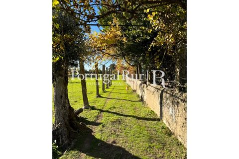 Farm i Crato, Portalegre, Crato - € 990.000 | Ref: RG2037 - foto 30