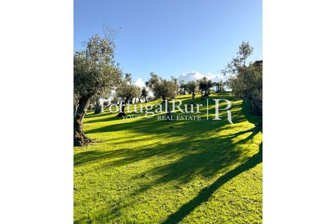Farm i Crato, Portalegre, Crato - € 990.000 | Ref: RG2037 - foto 33