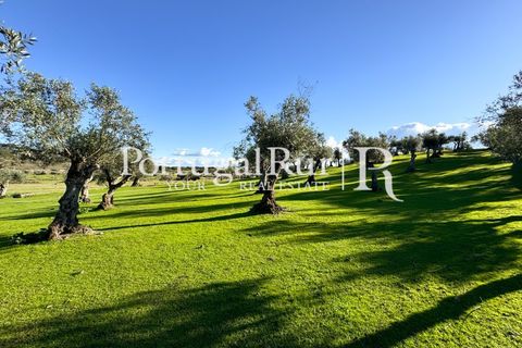 Farm i Crato, Portalegre, Crato - € 990.000 | Ref: RG2037 - foto 34