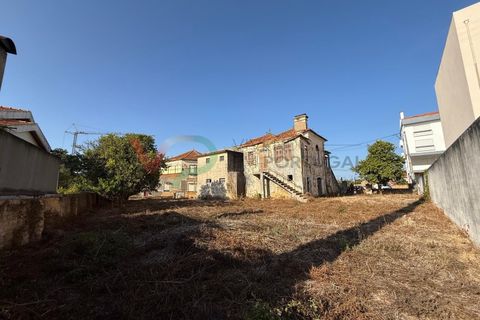 Landejendom i Sangalhos, Aveiro, Sangalhos - € 500.000 | Ref: CAS_199 - foto 2