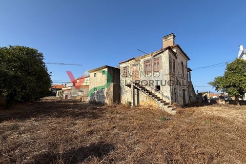 Landejendom i Sangalhos, Aveiro, Sangalhos - € 500.000 | Ref: CAS_199 - foto 4